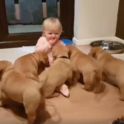 Beba nije htela da podeli kolačić sa štencima: Njihova reakcija je urnebesna! (VIDEO)