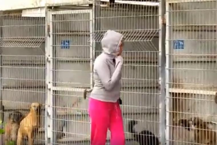 Nije mogla da odluči kog od 250 pasa iz azila da usvoji: O njenom postupku sada bruji ceo internet! (VIDEO)