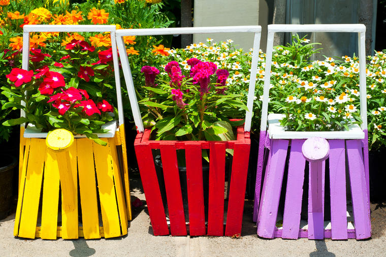 Cveće koje treba posaditi u februaru: Spremite dvorište i balkon za rapsodiju boja!