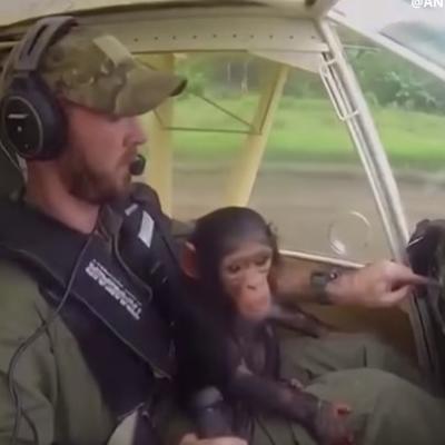 Bebi šimpanzi krivolovci ubili majku: Reakcija mladunčeta na spasioca tera suze na oči! (FOTO, VIDEO)