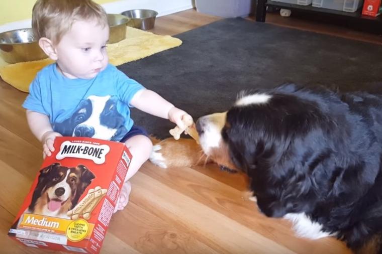 Dečkić hranio svog psa: Od ovog snimka bi se mnogima digla kosa na glavi! (VIDEO)