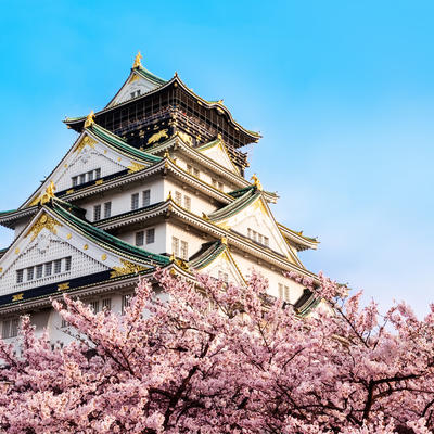 Veličanstveno cvetanje japanske trešnje:  Lepota i raskoš proleća u Zemlji izlazećeg Sunca! (FOTO)