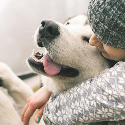Ljubimci koji predstavljaju radost: Veruje se da psi sa ovim imenom donose sreću vlasnicima!