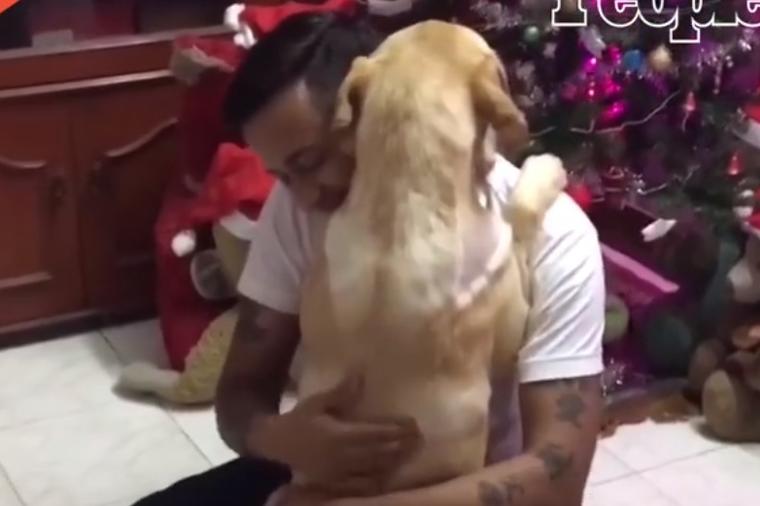 Pas došao kući nakon teške operacije: Njegov susret sa vlasnikom će vam naterati suze na oči! (VIDEO)