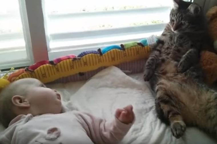 Zbunjena maca se probudila pored bebe: Nekoliko sekundi kasnije doživela urnebesnu nezgodu! (VIDEO)