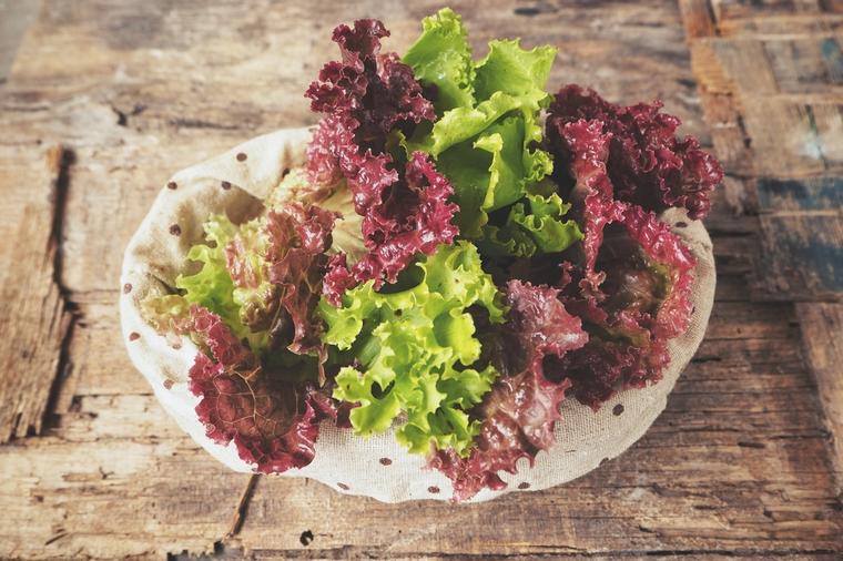 Lolo roso salata je neverovatno zdrava: Poboljšava vid, čisti kožu, eliminiše ćelije raka!