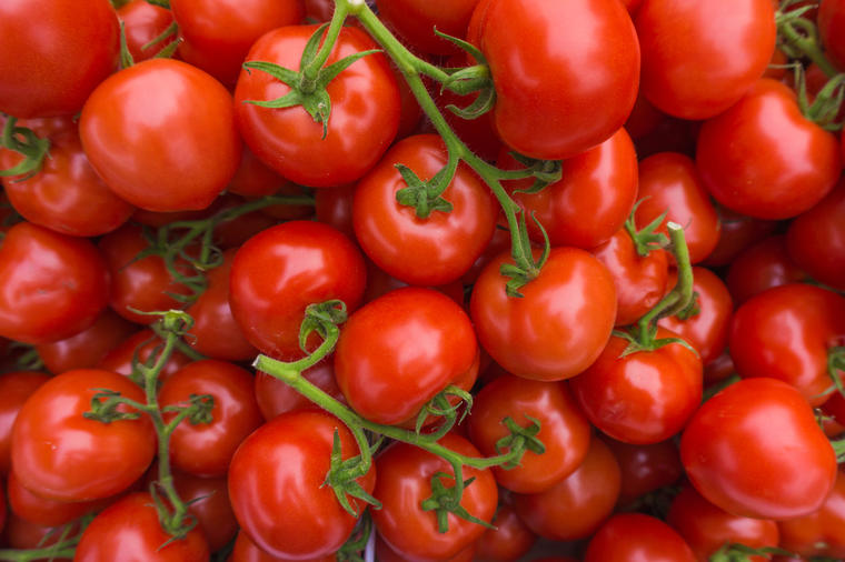 Evo kako da uzgojite najslađi paradajz na svetu: 8 jednostavnih saveta!