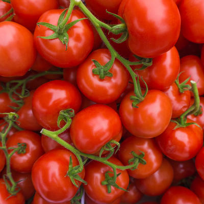 Evo kako da uzgojite najslađi paradajz na svetu: 8 jednostavnih saveta!