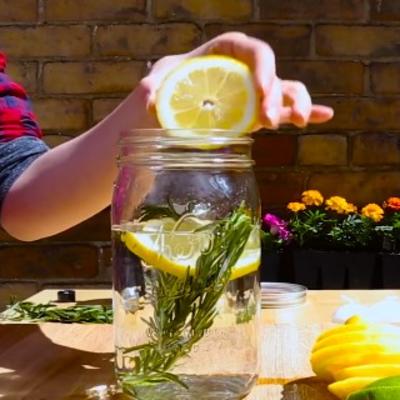 U teglu s vodom stavila ruzmarin i limun: Ovu genijalnu caku za baštu koristićete sve do jeseni! (VIDEO)