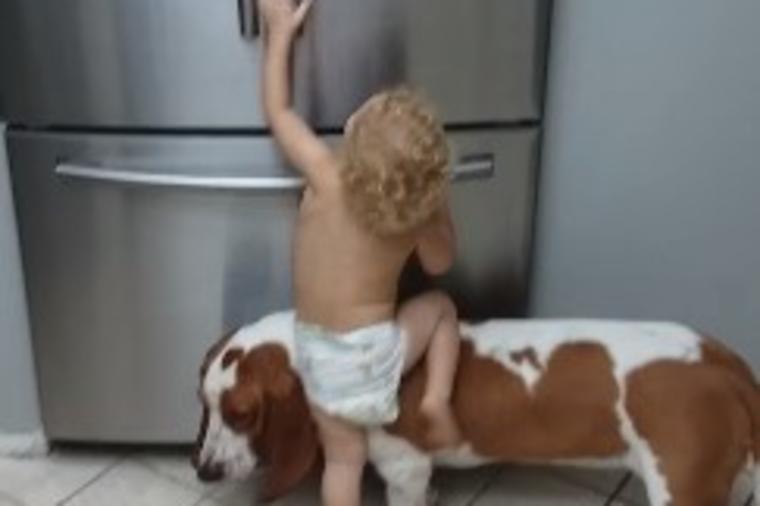 Dečak i pas ujedinili snage: Roditelji šokirani onim što su uradili! (VIDEO)