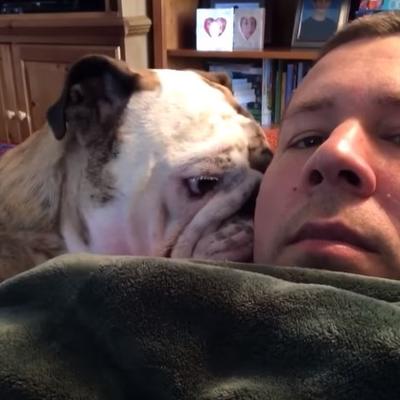 Vlasnik ignorisao buldoga: Reakcija psa postala hit na internetu! (VIDEO)