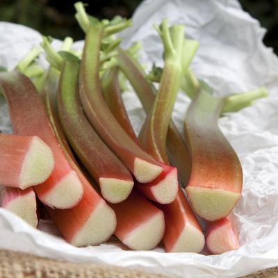 Rabarbara, neugledna biljka puna vitamina: Evo kako da je iskoristite u kulinarstvu