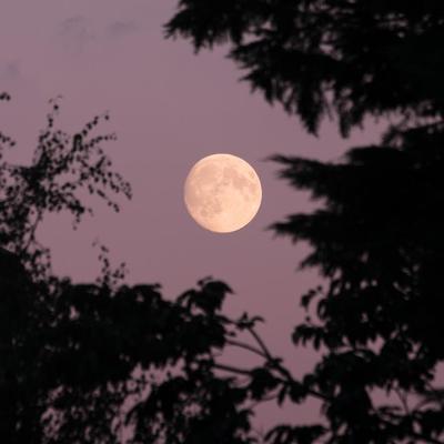 Evo šta nam donosi mlad Mesec u Škorpiji: Većina će se oduševiti!