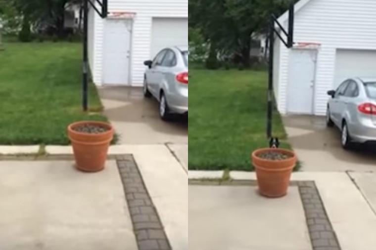 Najslađi snimak koji ćete videti danas: Psu je dosadno u kući, pa se dosetio kako da izbegne ulazak! (VIDEO)