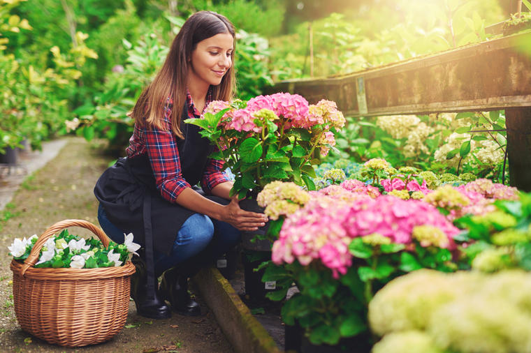 Cveće koje ne izaziva alergijsku reakciju: Posadite ga u bašti i ne brinite!