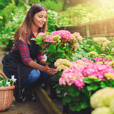Cveće koje ne izaziva alergijsku reakciju: Posadite ga u bašti i ne brinite!