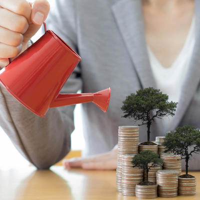 Napravite svoje Feng šui drvo novca: Privucite bogatstvo u svoj dom!