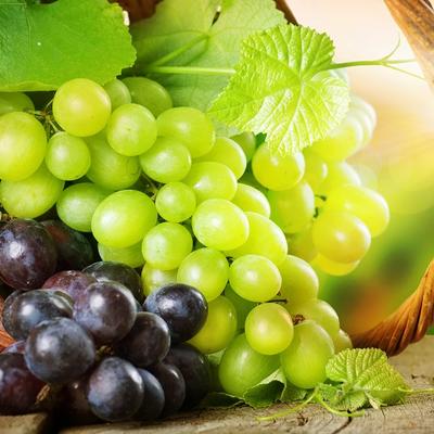 SADRŽI NEVEROVATNU KOLIČINU VITAMINA I MINERALA: A da li znate koje je grožđe zdravije, crno ili belo?