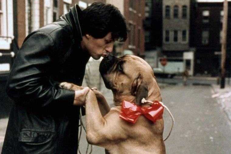 Najtužniji period u životu Silvestera Stalonea: Prodao svog psa za 25 dolara da bi preživeo - priča koja će vam naterati suze na oči! (FOTO)