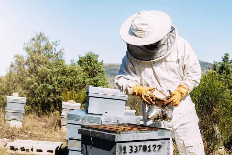 Čudo u Grčkoj: Pčelar stavio ikonu u košnicu, kada se vratio zatekao je OVO! (VIDEO)