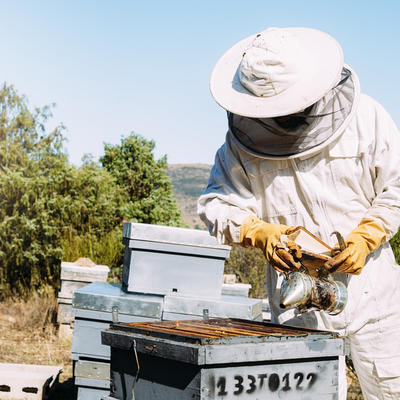 Čudo u Grčkoj: Pčelar stavio ikonu u košnicu, kada se vratio zatekao je OVO! (VIDEO)