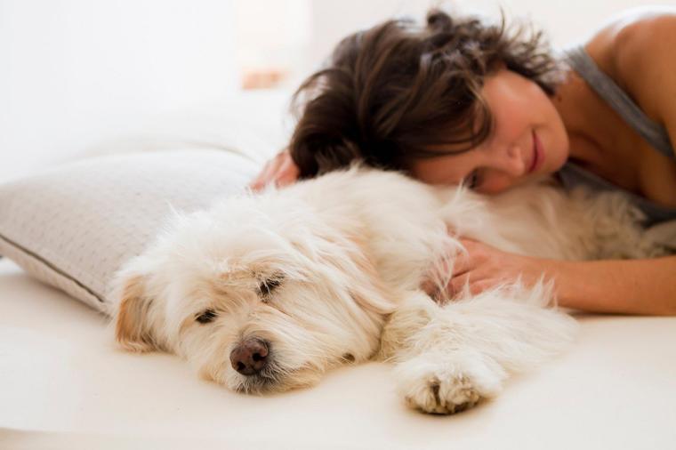 5 bolesti koje vlasnici prenose psima: 99% ljudi nije ni svesno!