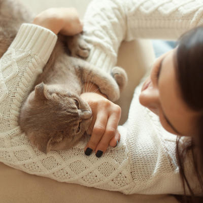 Mačke su lek za dušu i telo: Prenose ljubav, umiruju i leče predenjem!