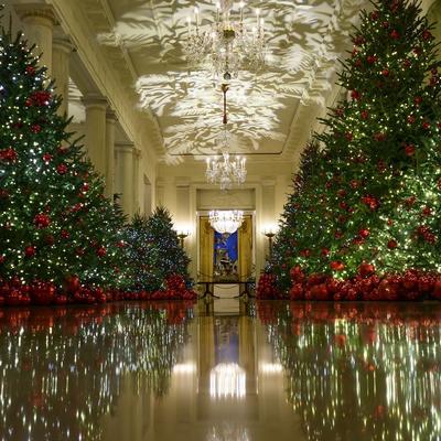 Bela kuća nikad sjajnija: Božićna dekoracija koja je svet ostavila bez teksta! (FOTO)