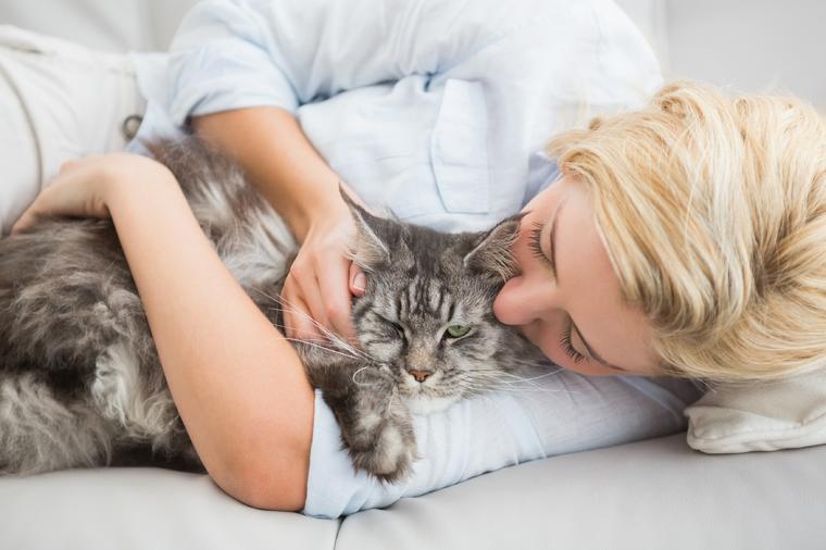 Naučite da prepoznate muke kod svog kućnog ljubimca: Ovo su tajni znakovi mačaka da trpe nesnosan bol!