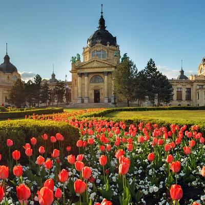 Budimpešta: 10 razloga zašto smo zaljubljeni u grad Dunava, najlepših parkova i niskih cena!