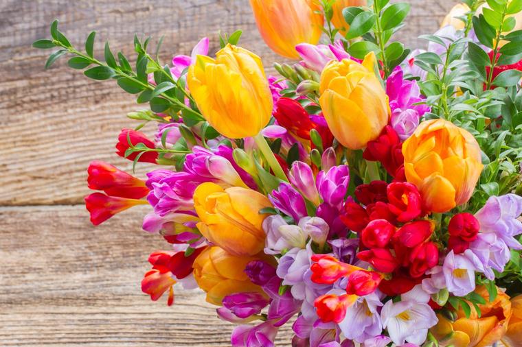 Božanstvena biljka koja cveta i širi se neverovatnom brzinom: Frezija u vazi za proleće iz snova!