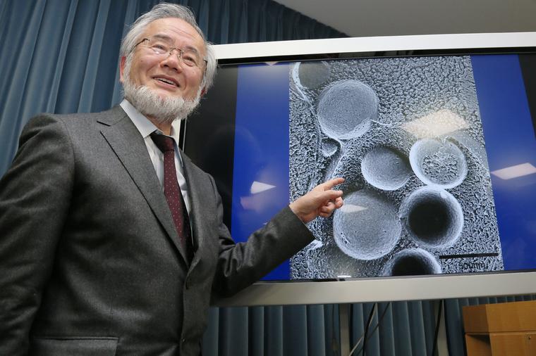 Japanski Nobelovac (74): Ovo je jedini način da sačuvate zdravlje i podmladite celo telo!