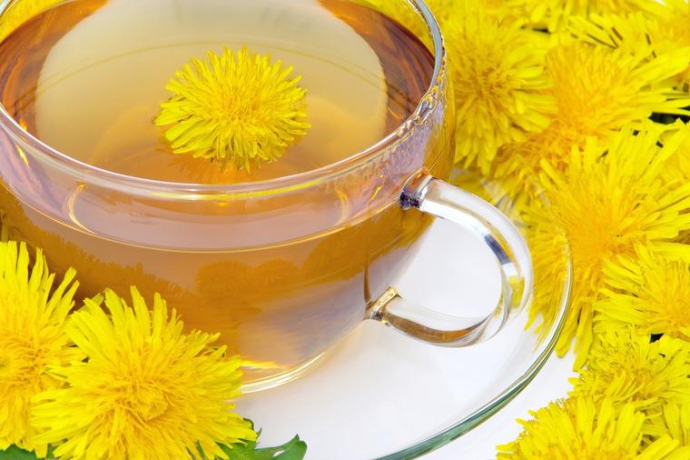 13 razloga da pijete čaj od maslačka: Nema bolesti koje ne leči ovaj napitak!