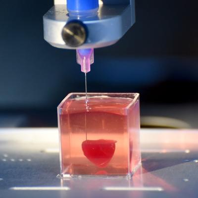 Odštampano prvo 3D srce od ljudskih ćelija! (FOTO)