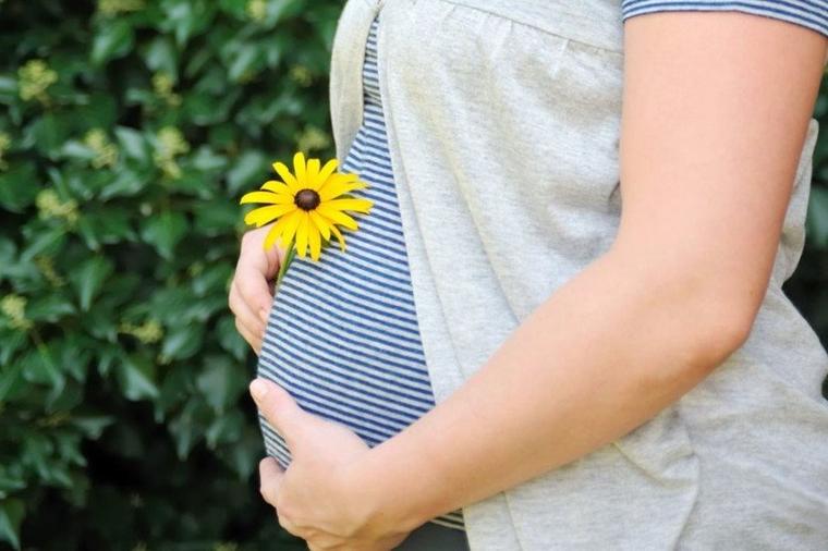 Odobreno surogat-majčinstvo u Srbiji: Koliko će koštati i čije gene će beba nositi