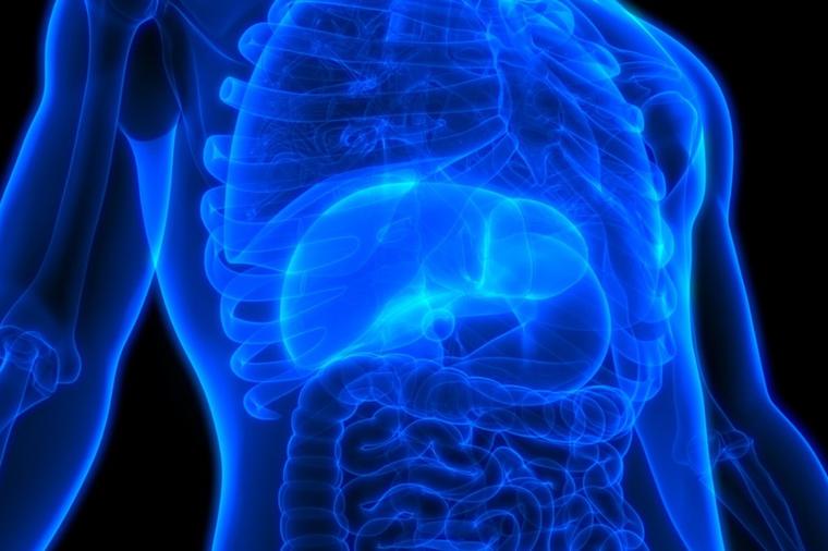 Čišćenje jetre od masnoće i bolesti narodnim lekovima: Potpuna obnova za 15 dana! (RECEPT)