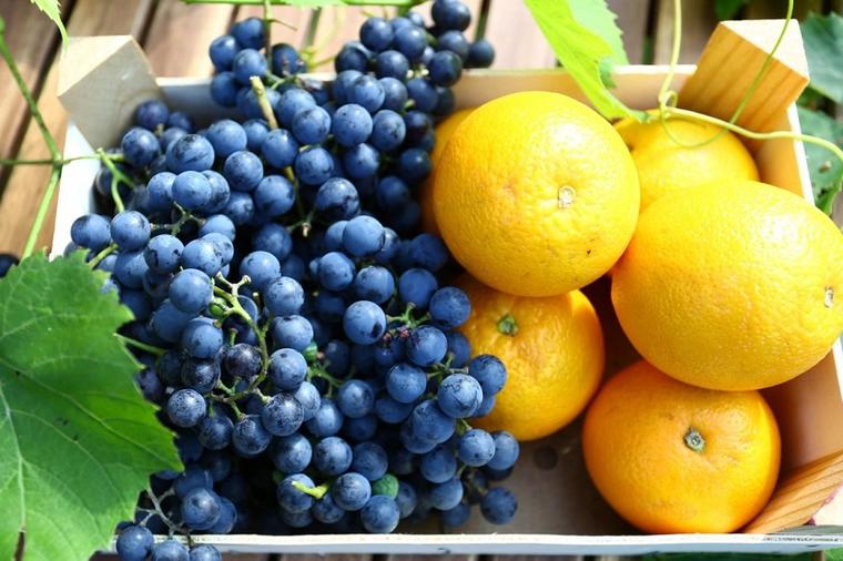 Grožđe i pomorandže treba jesti isključivo zajedno: Siguran način da sprečite dijabetes, gojaznost i srčane bolesti!