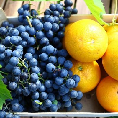 Grožđe i pomorandže treba jesti isključivo zajedno: Siguran način da sprečite dijabetes, gojaznost i srčane bolesti!