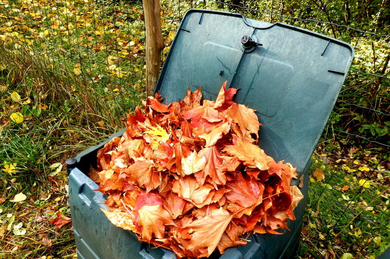Kako napraviti organsko đubrivo od jesenjeg lišća: Bašta će vam cvetati kao nikada do sada!