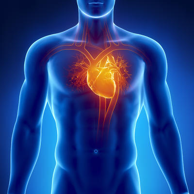4 stomačna problema koja prethode srčanom udaru: Ako osetite ovo, javite se kardiologu!