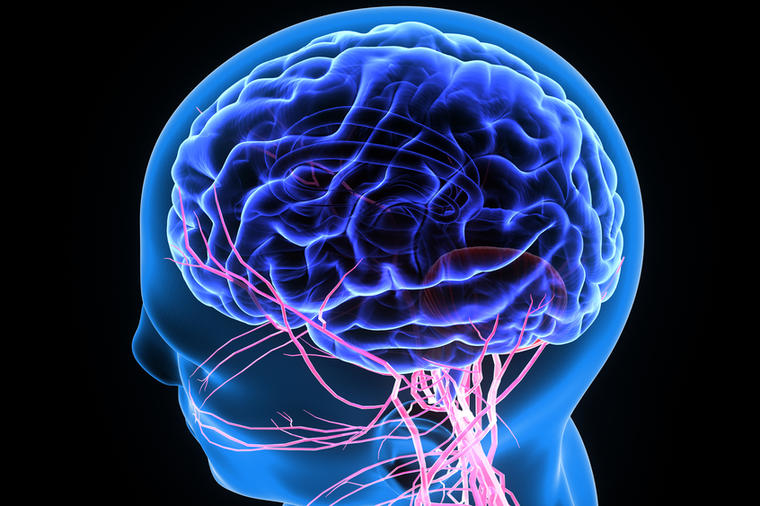 Ovako se čuva zdravlje moždanih ćelija: 3 navike koje će usporiti starenje mozga, poboljšati pamćenje i koncentraciju!