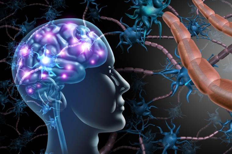 Mozak može da proizvede nove nervne ćelije i uništi Alchajmera: Tim Nobelovaca precizno otkriva šta treba da radite!