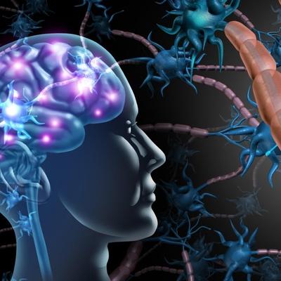 Mozak može da proizvede nove nervne ćelije i uništi Alchajmera: Tim Nobelovaca precizno otkriva šta treba da radite!
