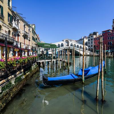 ISPRAVKA: Labudovi i delfini se nisu vratili u kanale u Veneciji tokom karantina zbog korona virusa