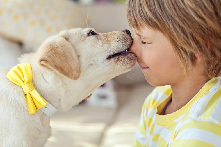 Naučnici sigurni: Psi mogu da pomognu u lečenju autizma kod dece, a evo i kako! 