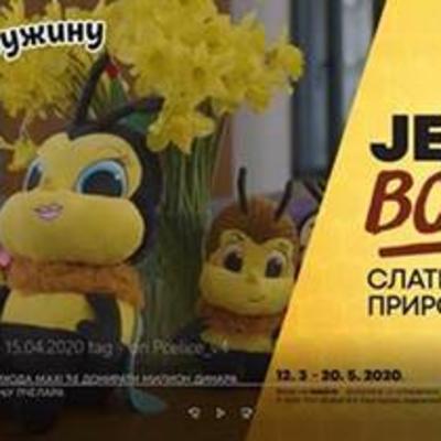 Sarica Kraljica pomaže odbeglim rojevima pčela u Beogradu