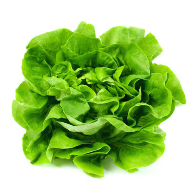 Mali trik za dugu svežinu: Zelena salata trajeće duplo duže ako primenite OVO!