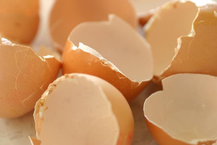 Ljuske od jaja su pravo blago, a svi ih bacate: Nećete verovati šta sve leče i kako ih možete koristiti! (VIDEO)