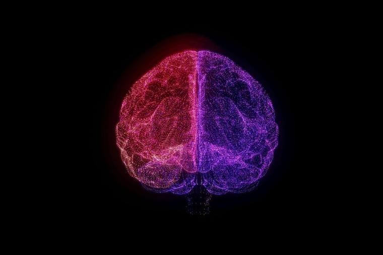 Koliko je jak vaš mozak: Ovaj test otkriva da li su vaše sive ćelije jake i aktivne ili ostarele i potrošene! (VIDEO)
