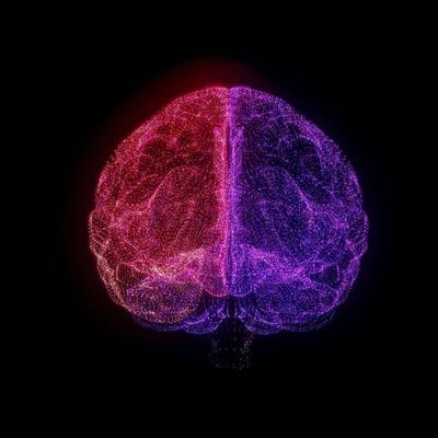 Koliko je jak vaš mozak: Ovaj test otkriva da li su vaše sive ćelije jake i aktivne ili ostarele i potrošene! (VIDEO)